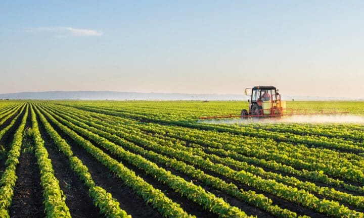 A tractor sprays pesticides on a field of soybeans at sunset