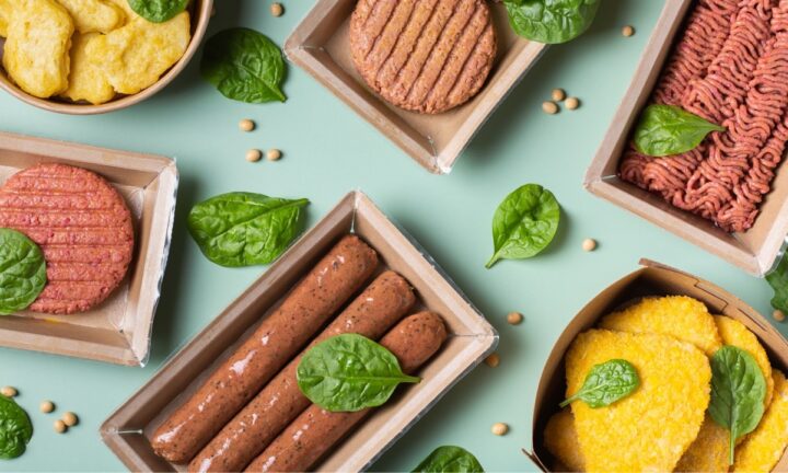 Plant-based alternative meat products